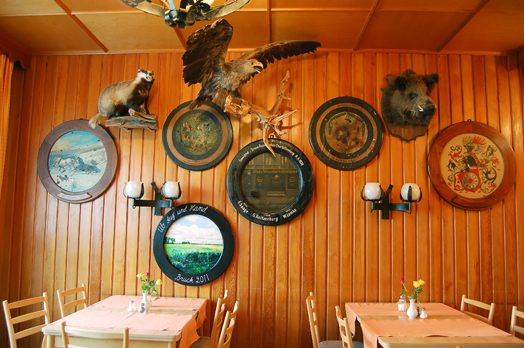 hen1 Minna Henriksson, Kunstpflug