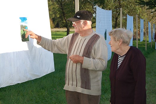 pfe2 Pfelder, Kunstpflug